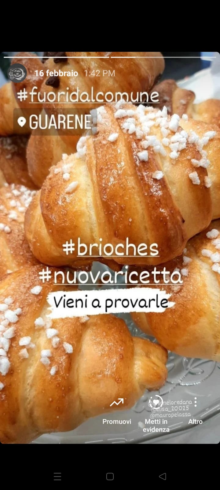 Brioches fresche